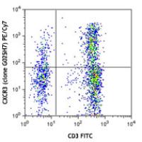 PE/Cy7 anti-human CD183 (CXCR3)