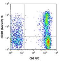 PE anti-human CD183 (CXCR3)