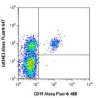 Alexa Fluor® 647 anti-human CD196 (CCR6)