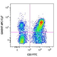 APC/Cy7 anti-human CD197 (CCR7)