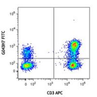 FITC anti-human CD197 (CCR7)