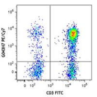 PE/Cy7 anti-human CD197 (CCR7)