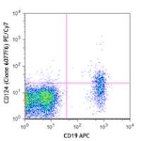 PE/Cy7 anti-human CD124 (IL-4Rα)