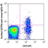 Purified anti-human CD124 (IL-4Rα)