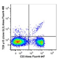 Alexa Fluor® 488 anti-mouse TCR γ/Î´