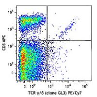 PE/Cy7 anti-mouse TCR γ/Î´