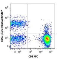 Brilliant Violet 510™ anti-human CD56 (NCAM)