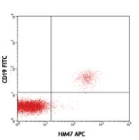 APC anti-human CD79a (Igα)