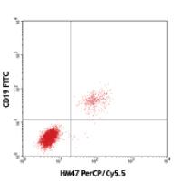 PerCP/Cy5.5 anti-human CD79a (Igα)
