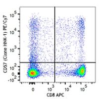 PE/Cy7 anti-human CD57