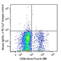 PE/Cy7 anti-human CD158 (KIR2DL1/S1/S3/S5)