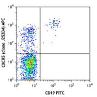 APC anti-human CD185 (CXCR5)