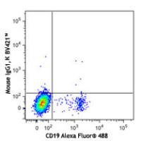 Brilliant Violet 421™ anti-human CD185 (CXCR5)