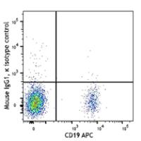 Brilliant Violet 711™ anti-human CD185 (CXCR5)