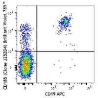 Brilliant Violet 785™ anti-human CD185 (CXCR5)