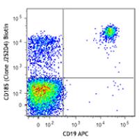 Biotin anti-human CD185 (CXCR5)