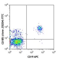 FITC anti-human CD185 (CXCR5)