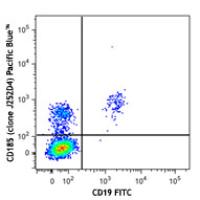 Pacific Blue™ anti-human CD185 (CXCR5)