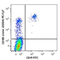 PE/Cy7 anti-human CD185 (CXCR5)