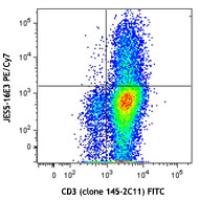 PE/Cy7 anti-mouse IL-10