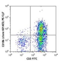 PE/Cy7 anti-human CD186 (CXCR6)