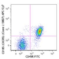 APC/Cy7 anti-mouse CD185 (CXCR5)