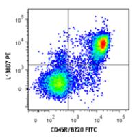 PE anti-mouse CD185 (CXCR5)