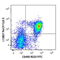 PerCP/Cy5.5 anti-mouse CD185 (CXCR5)