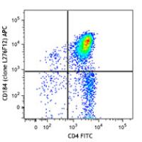 APC anti-mouse CD184 (CXCR4)