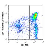 PE anti-mouse CD184 (CXCR4)