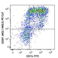 PE/Cy7 anti-mouse CD301 (MGL1/MGL2)