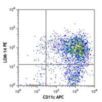 PE anti-mouse CD301 (MGL1/MGL2)