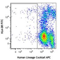 APC anti-human Lineage Cocktail (CD3, CD14, CD16, CD19, CD20, CD56)