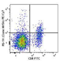 PE/Cy7 anti-mouse PD-1H (VISTA)