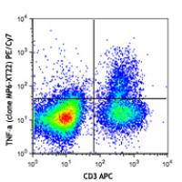 PE/Cy7 anti-mouse TNF-α