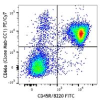 PE/Cy7 anti-mouse CD66a (CEACAM1a)