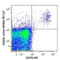 PE/Cy7 anti-human CD203c (E-NPP3)