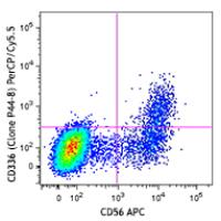 PerCP/Cy5.5 anti-human CD336 (NKp44)
