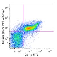 APC/Cy7 anti-mouse CD172a (SIRPα)
