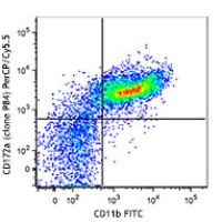PerCP/Cy5.5 anti-mouse CD172a (SIRPα)