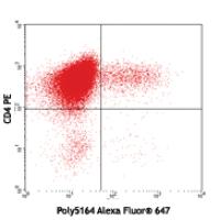 Alexa Fluor® 647 anti-mouse IL-22