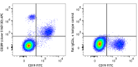 APC anti-human CD289 (TLR9)