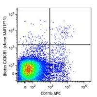 Biotin anti-mouse CX3CR1