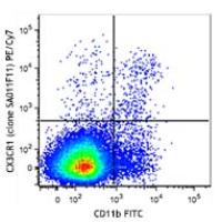 PE/Cy7 anti-mouse CX3CR1