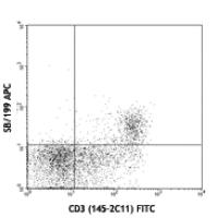 APC anti-mouse CD127 (IL-7Rα)