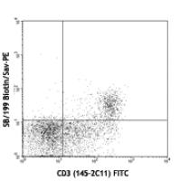 Biotin anti-mouse CD127 (IL-7Rα)