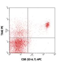 PE anti-mouse CD226 (DNAM-1)