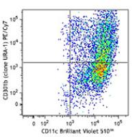 PE/Cy7 anti-mouse CD301b (MGL2)