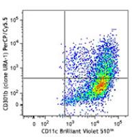 PerCP/Cy5.5 anti-mouse CD301b (MGL2)