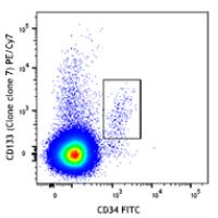 PE/Cy7 anti-human CD133